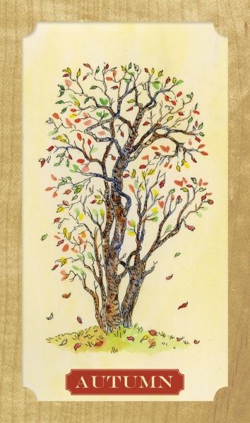 Tree of Life Oracle Cards